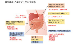 食物繊維で大腸がんリスク減＝メタボ解消でも注目β-グルカン