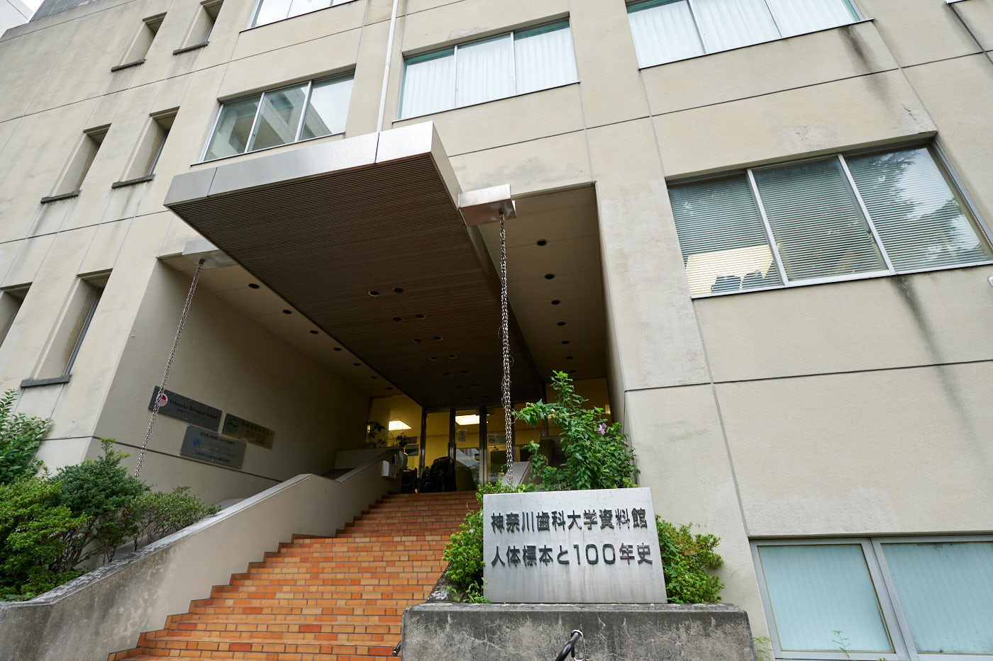 歴史資料室と人体標本室から構成される神奈川歯科大学資料館