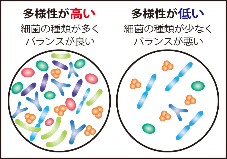 腸内細菌の多様性