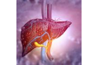 スタチン常用で肝疾患発症・関連死リスク低下