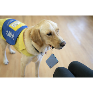 【楽天ポイントで社会貢献！？】日本介助犬協会が「楽天ペイ」オンラインでの募金の仕組みを導入