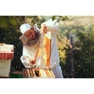 自然があなたをキレイにする「Maison de i-bee（メゾンドアイビー）」西オーストラリア産ジャラハニーの養蜂家 David Lindsay-Rae氏の来日が決定！