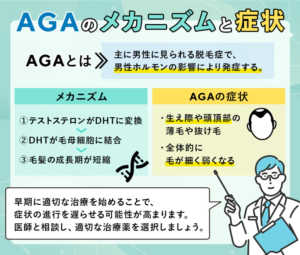AGAのメカニズムと症状