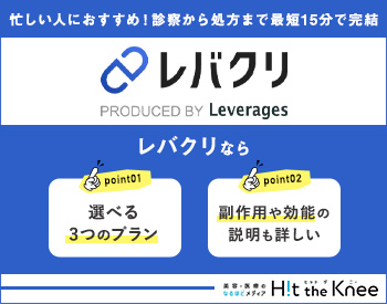 レバクリのサービス概要