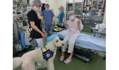 可愛い犬と一緒、手術も平気「勤務犬」が病院で活躍