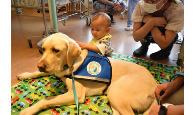 病気と闘う子ども癒やす～「応援犬」が始動―成育医療研究センター～