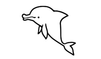 イルカの腎老化メカニズムを解明～高齢化社会を迎える飼育イルカの健康維持に向けて ～