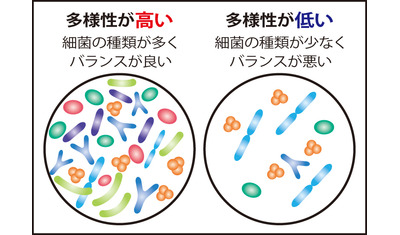多様性が健康のカギ～日本人の腸内細菌（医薬基盤・健康・栄養研究所　国沢純ヘルス・メディカル微生物研究センター長）～
