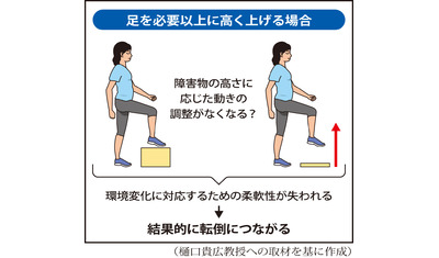 土や芝生でウオーキングを～転倒で最多、段差つまずき（東京都立大学大学院　樋口貴広教授）～