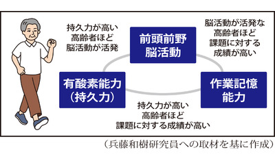 持久力高いほど脳活動が活発～高齢者、多くの部位働かせる（明治安田厚生事業団　兵頭和樹研究員）～