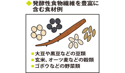 発酵性食物繊維で腸活～腸内細菌の活性化で病気予防（京都府立医科大大学院　内藤裕二教授）～