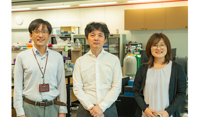 代謝機能を保持した肝細胞オルガノイドの効率的培養法の開発
