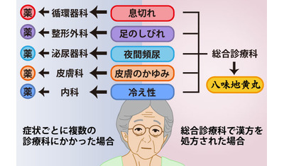 第７回　漢方医学の活用は「世界の潮流」
日本が誇る実用的な治療