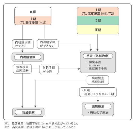 ステージ０～Ⅲの大腸がん治療の選択（国立がん研究センターのホームページより）