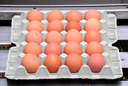 鶏卵「１日１個」は昔の話ですが、摂取量と体内のコレステロール値は無関係ではないので、注意が必要です（写真はイメージです）【ＡＦＰ時事】