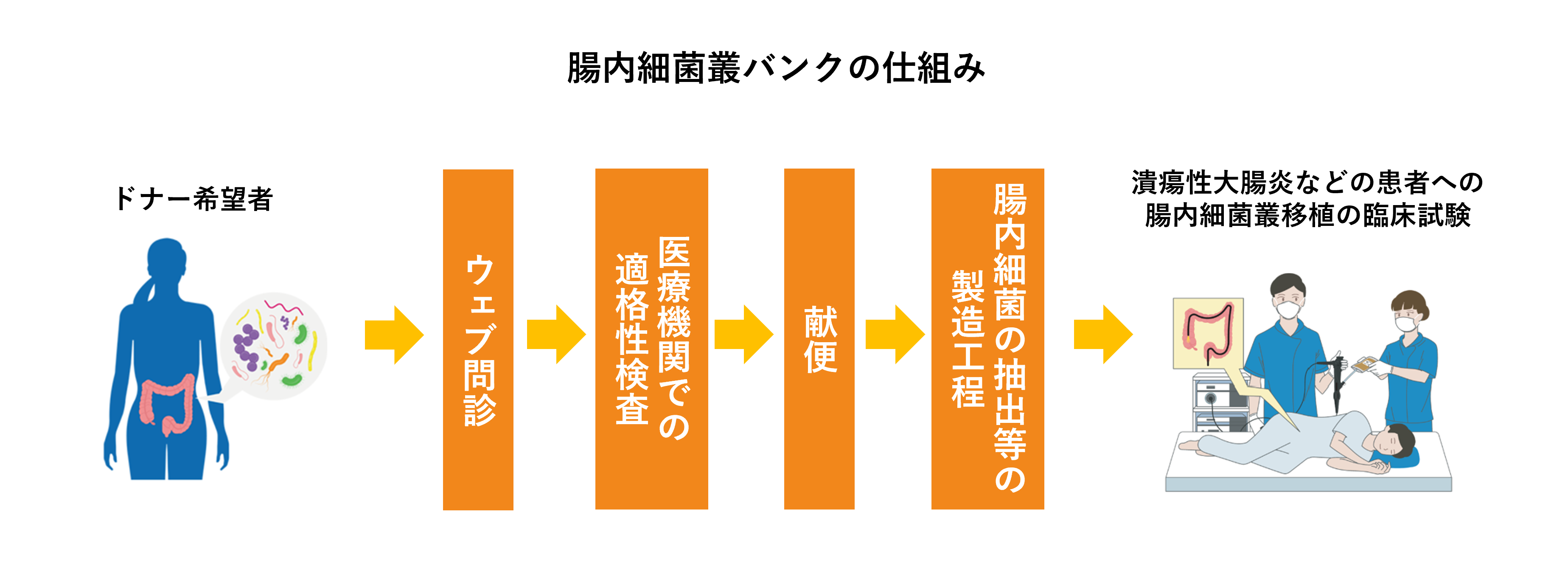 腸内細菌叢バンクの流れ（提供: メタジェンセラピューティクス）