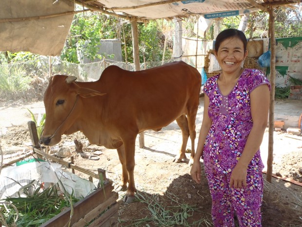 牛銀行から借りた牛を育てている女性