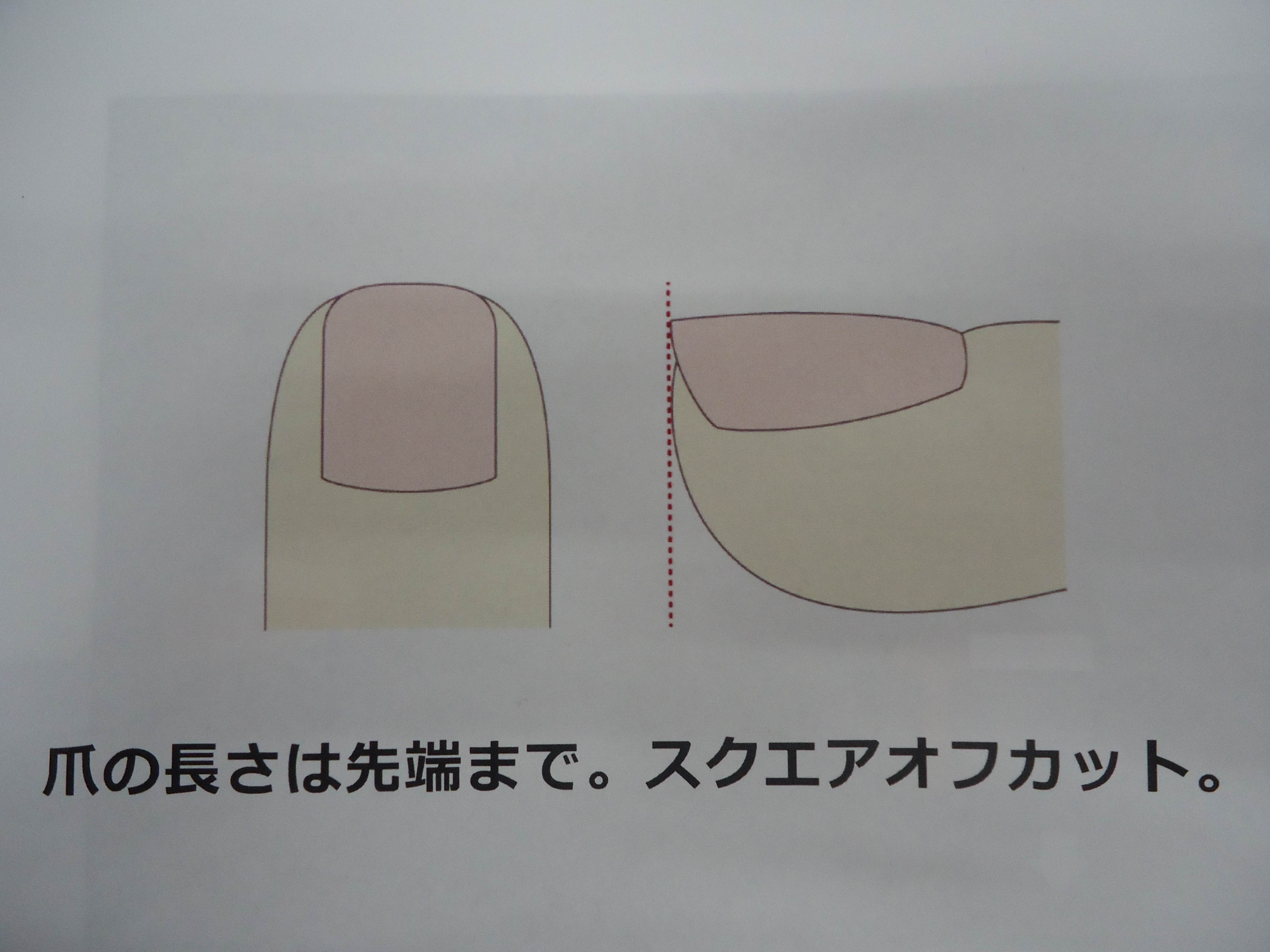 適切な爪の切り方（高山氏作成）