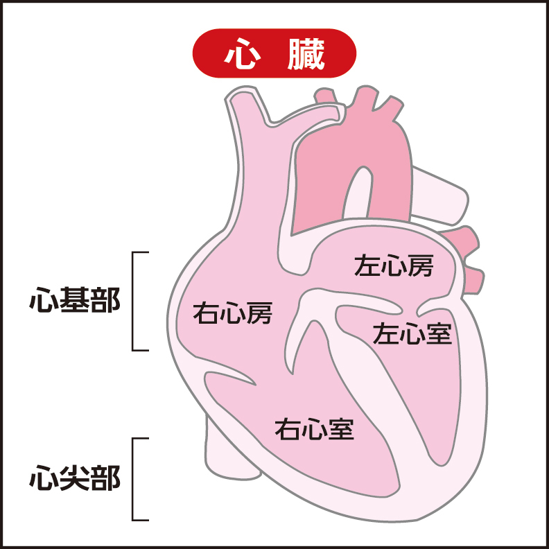 多くは心尖部が収縮せず、心基部が過剰収縮する典型的なタイプ
