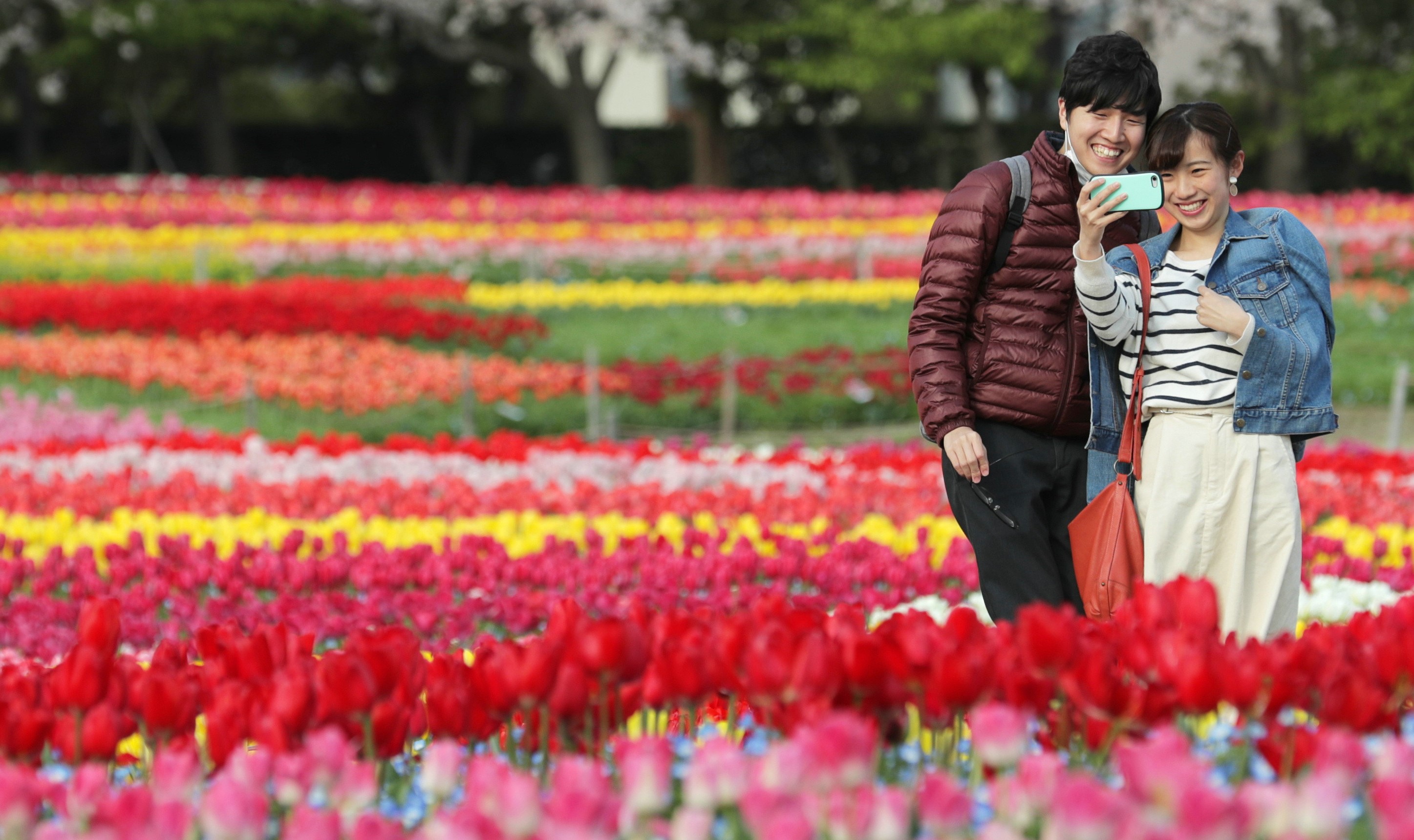 コロナ禍でも、若いカップルが咲き誇る花々を楽しんだ（２０２０年４月、三重県桑名市のなばなの里で）