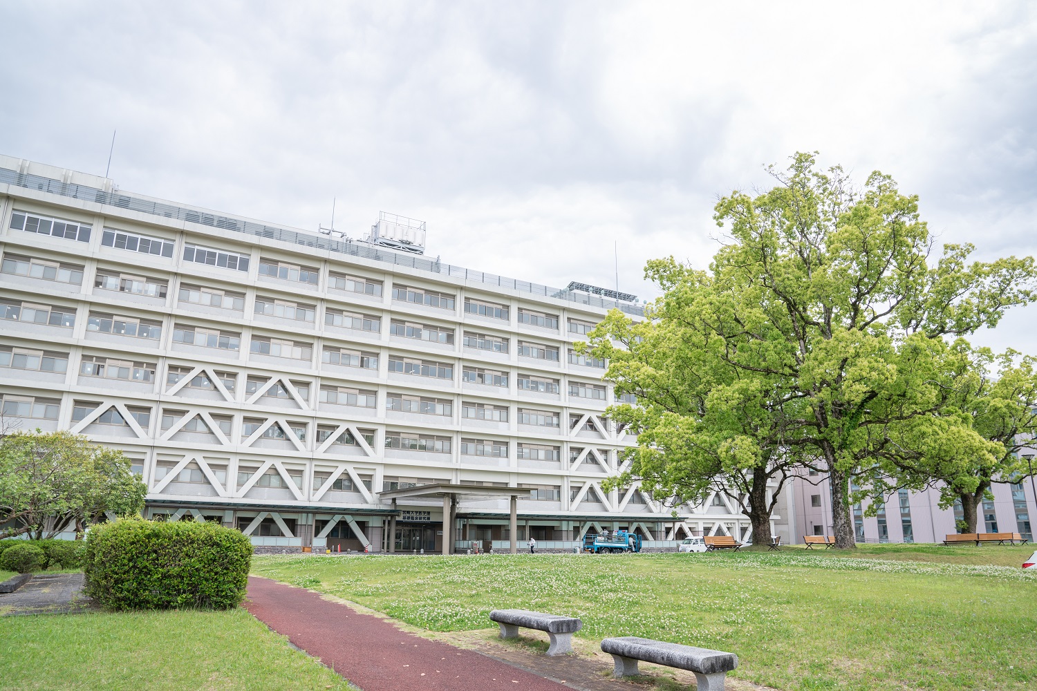 緑豊かな宮崎大学医学部キャンパス