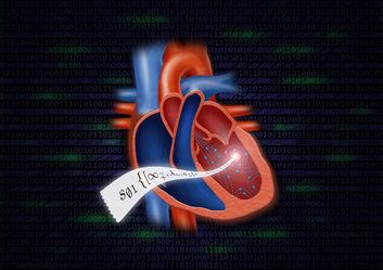 図 TFD解析で、心臓内の渦流を文字列として表現し、それに基づいて心機能の分類を与え、見通しの良い心疾患の医療の実現に役立てます（TFD解析のイメージ）