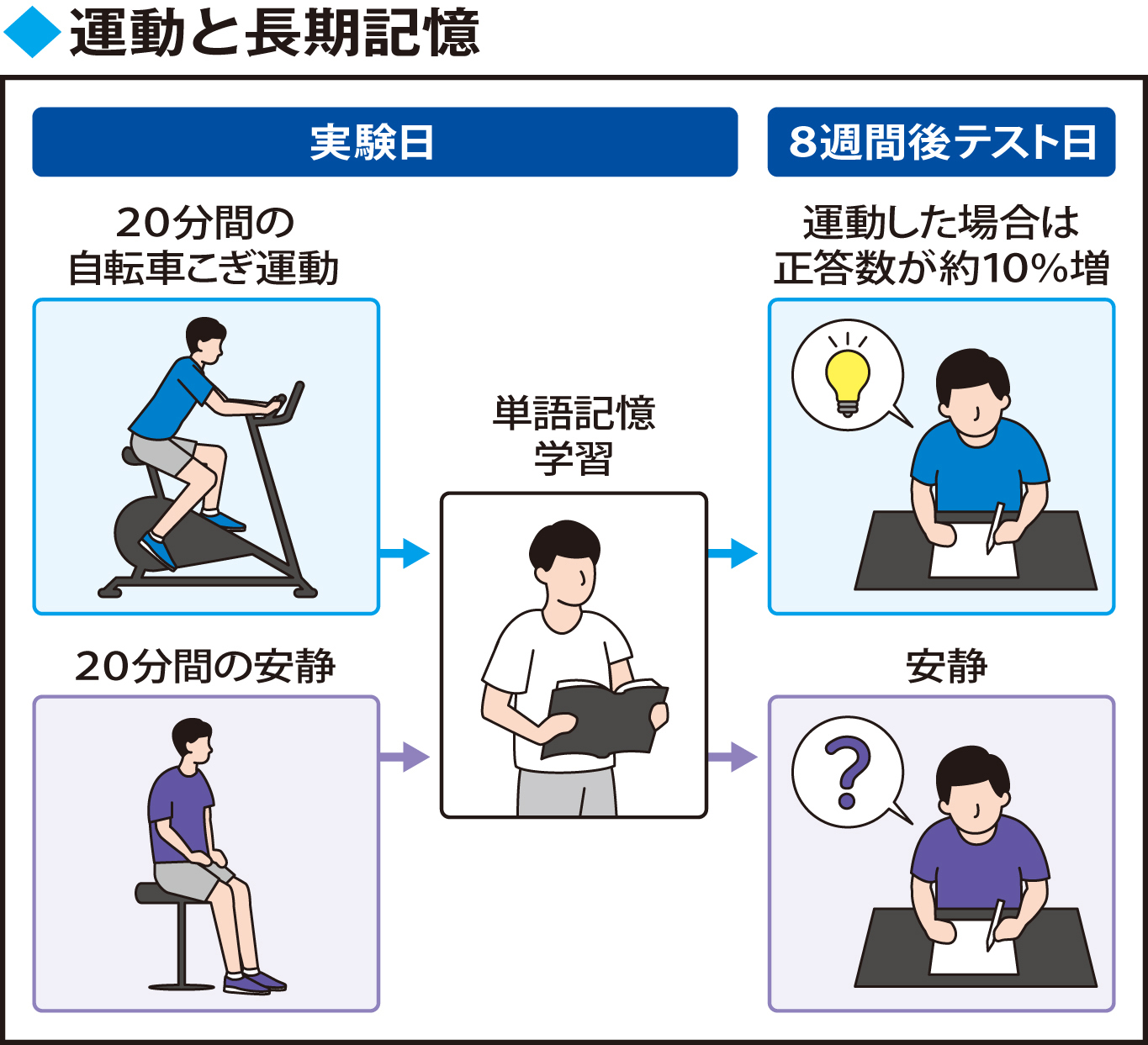 運動と長期記憶