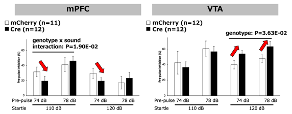 [図4] PPI試験で、mPFCにおけるScn2aの欠損はPPIを低下させるが、VTAにおける欠損では逆の効果を示した。