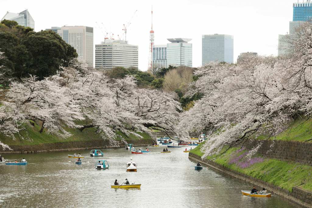 東京・千鳥ケ淵の桜が見頃を迎え、多くの人が訪れた＝３月２７日、東京都千代田区