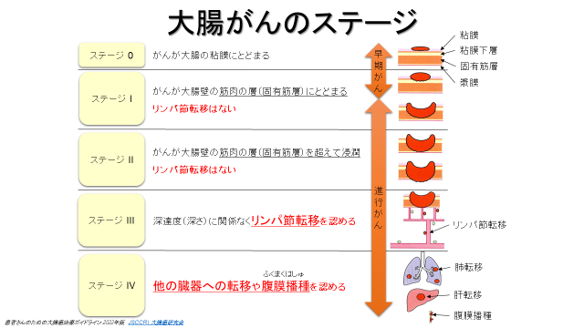 山口智弘医師提供