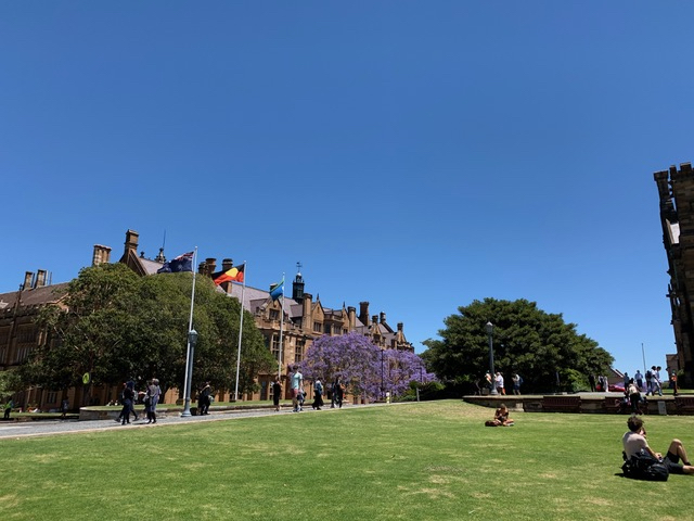 シドニー大学キャンパス