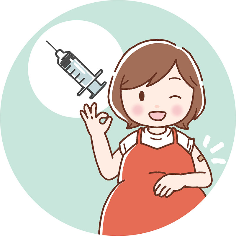 妊婦がRSウイルスワクチンを接種すると、生まれてくる赤ちゃんに抗体が移行する