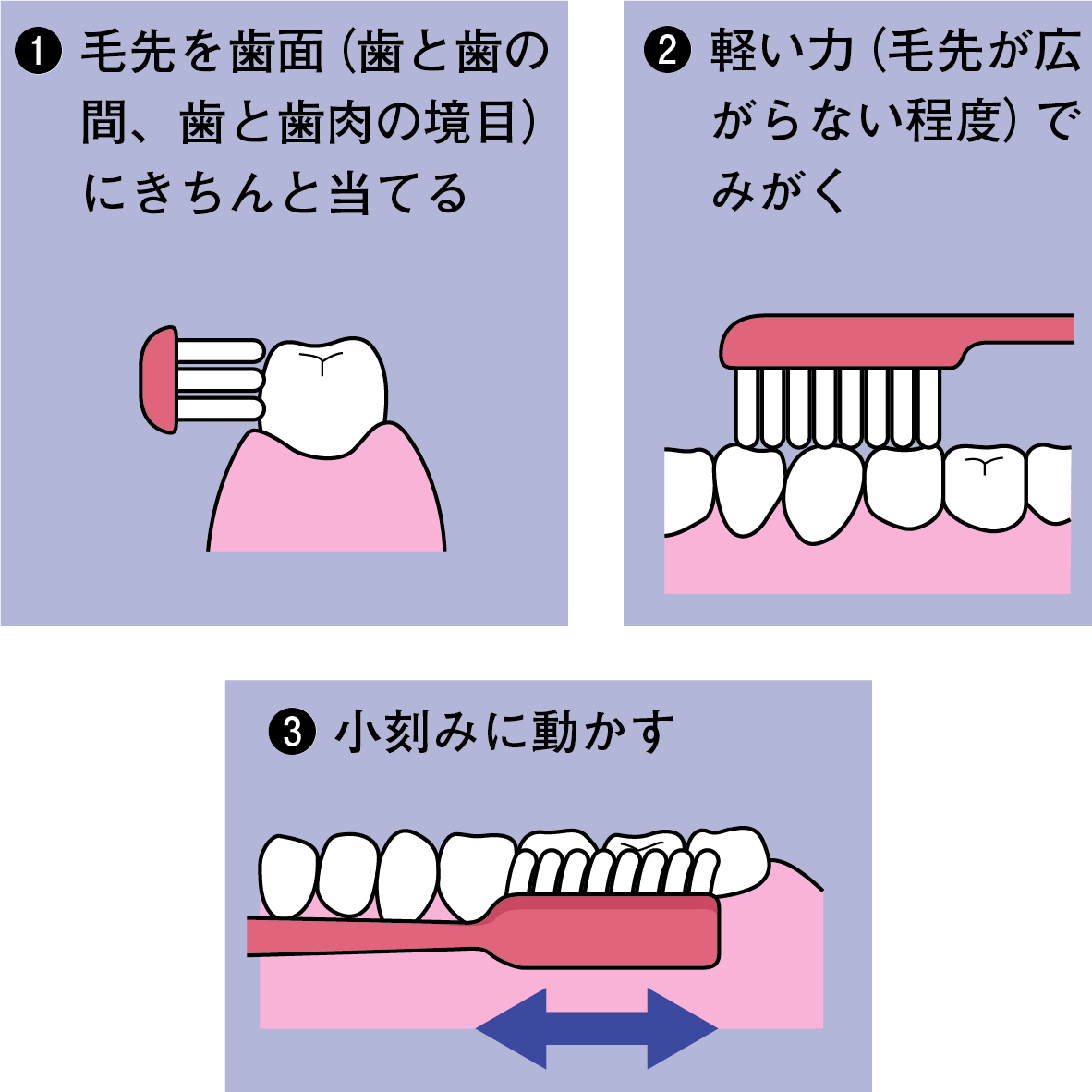 歯磨きの三つのポイント