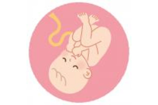 臍帯遅延結紮で早産児の死亡率低下