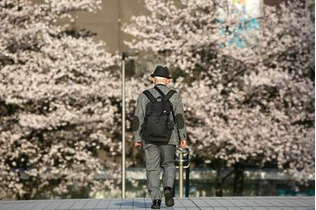 底上げ策、財源議論を先送り＝年金法案修正で正式合意―自立公