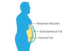 男性の腹筋密度がCHDリスク低下と関連