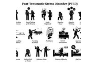 中等／重症PTSDに有効な補助療法