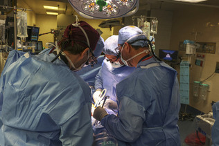 米東部ボストンのマサチューセッツ総合病院で行われたブタ腎臓の人への移植手術＝１６日（同病院提供）（ＡＦＰ時事）