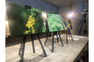 「若返り」は夢じゃない？＝老化細胞の除去、企業の研究活発―植物成分効果に期待高まる