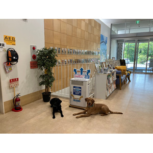 日本介助犬協会がシンシアの丘にパナソニックから寄贈されたジアイーノを設置