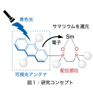 可視光エネルギーでサマリウムを還元する配位子開発に成功-希土類元素(レアアース)であるサマリウムの使用量を100分の1以下に削減-