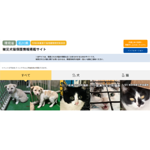 能登半島地震「被災犬猫保護情報掲載サイト」を公開　環境省と石川県から、協力要請のもと立ち上げ