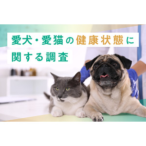 【幼齢ペットは誤飲に注意】愛犬・愛猫の健康状態に関する調査