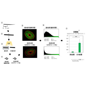 紫外線による毛髪への影響度の新たな可視化＆数値化方法を実現