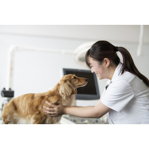 【注目の資格！愛玩動物看護師を目指す学生を全力サポート】愛玩動物看護学科3年生向けに国家試験説明会と、全国統一模試を実施【東京ビジネス・アカデミー】