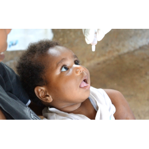 【書き損じはがきや使用済み切手が子どもの命を救うワクチンに】2023年に集まったご支援は、ポリオワクチン約558,506人分。