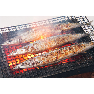 【日本の秋の魚そろい踏み】残暑でも旬の味覚で元気に!!『庄や』9月旬メニュー開始