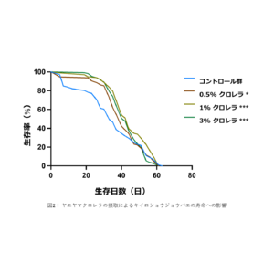 ヤエヤマクロレラの摂取で発生促進と健康寿命の延伸を確認しました