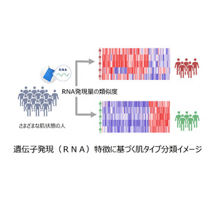 ＜皮脂RNAモニタリング技術＞皮脂RNAによる肌タイプ分類の開発