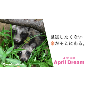 人為的な事故で傷付く野生動物の為に、東京に救護園を作る！